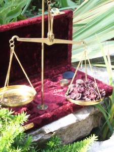 Weighing scale with Hibiscus